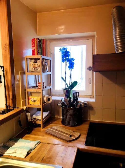 パリHabitation Salomeアパートメント エクステリア 写真