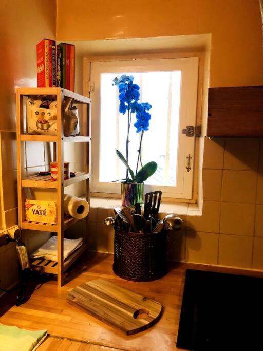 パリHabitation Salomeアパートメント エクステリア 写真