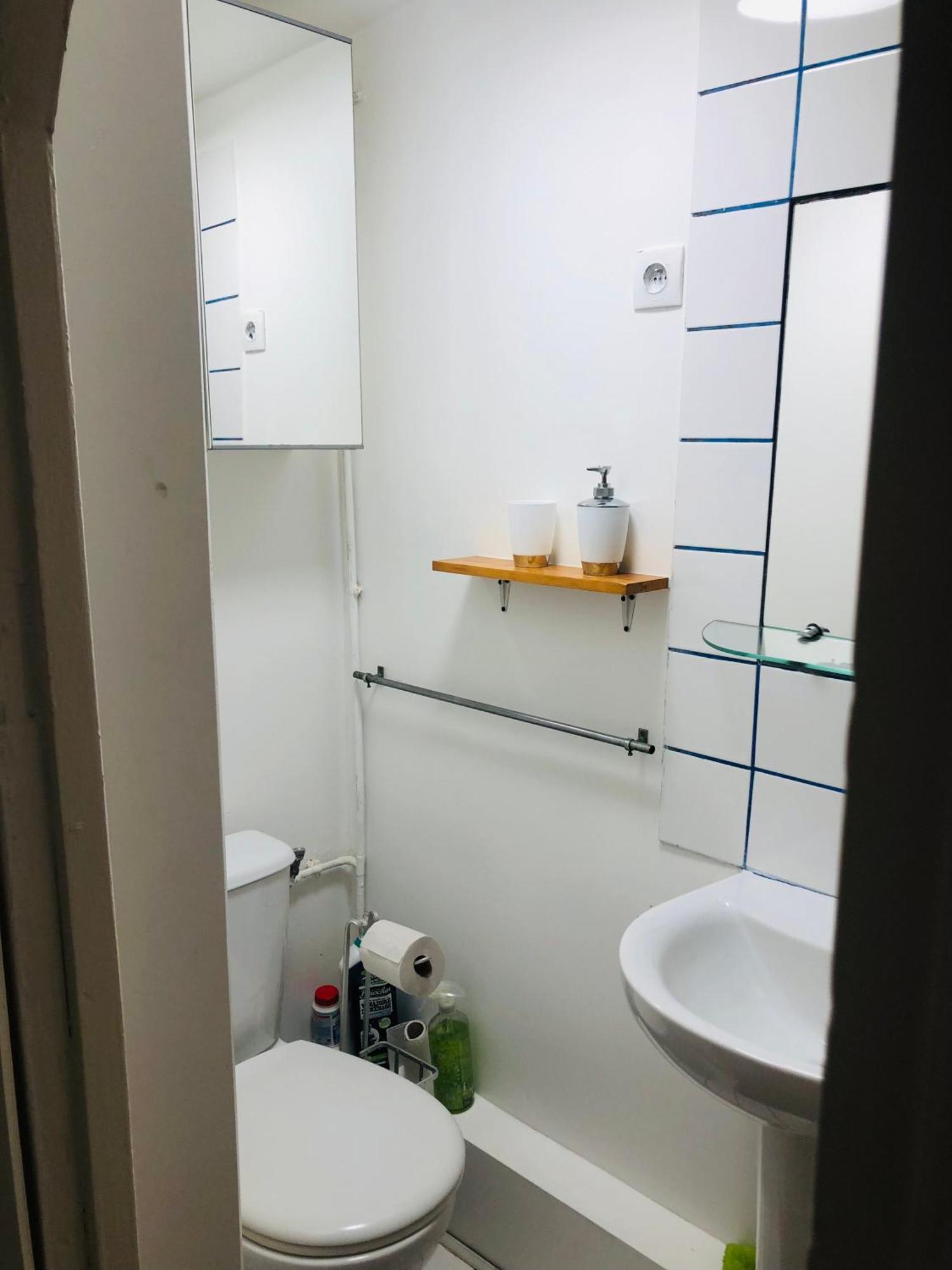 パリHabitation Salomeアパートメント エクステリア 写真